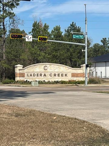 2933 Fox Ledge Court, Conroe, TX 77301