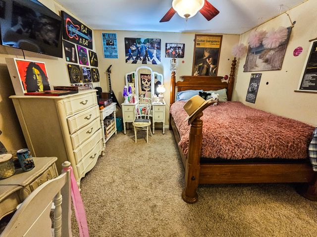 223 Rich Rd, Unionville, TN 37180