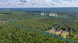 43.5 +/- A Old River Road, Baker, FL 32531