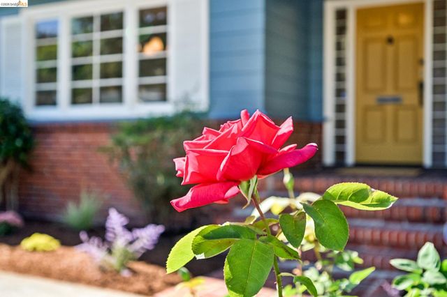 605 Prospect Ave, Oakland, CA 94610