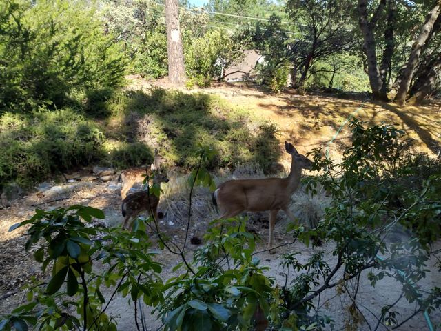 17010 Alexandra Way, Grass Valley, CA 95949