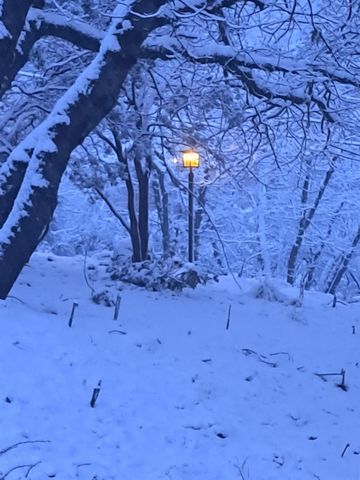 17010 Alexandra Way, Grass Valley, CA 95949