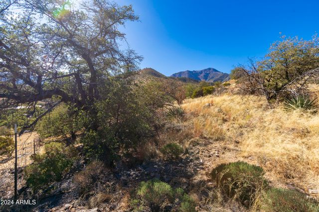 4709 E Dead Bear Draw -- 0, Hereford, AZ 85615