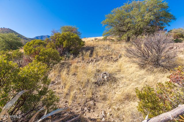 4709 E Dead Bear Draw -- 0, Hereford, AZ 85615