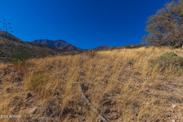 4709 E Dead Bear Draw -- 0, Hereford, AZ 85615