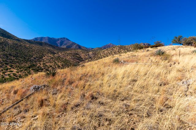 4709 E Dead Bear Draw -- 0, Hereford, AZ 85615