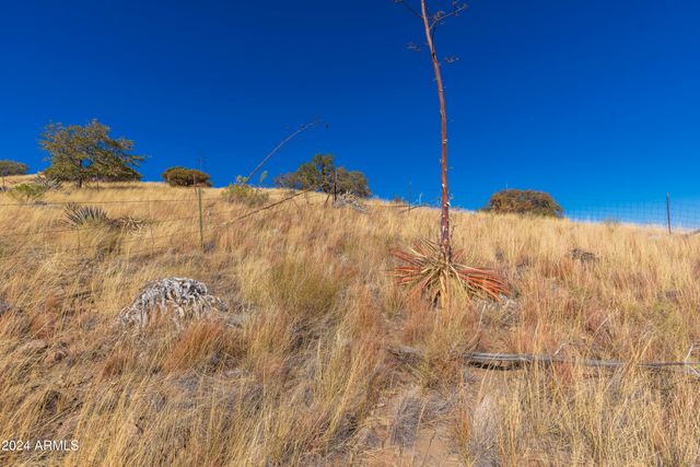 4709 E Dead Bear Draw -- 0, Hereford, AZ 85615