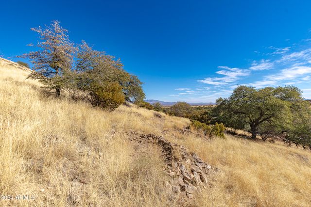 4709 E Dead Bear Draw -- 0, Hereford, AZ 85615