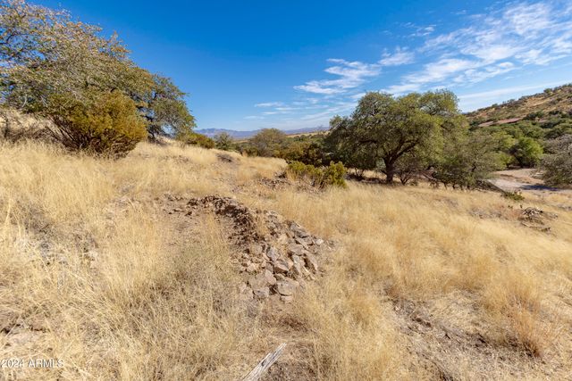 4709 E Dead Bear Draw -- 0, Hereford, AZ 85615