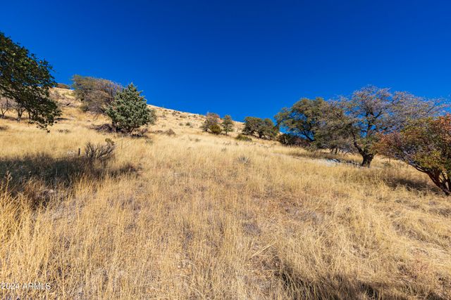 4709 E Dead Bear Draw -- 0, Hereford, AZ 85615