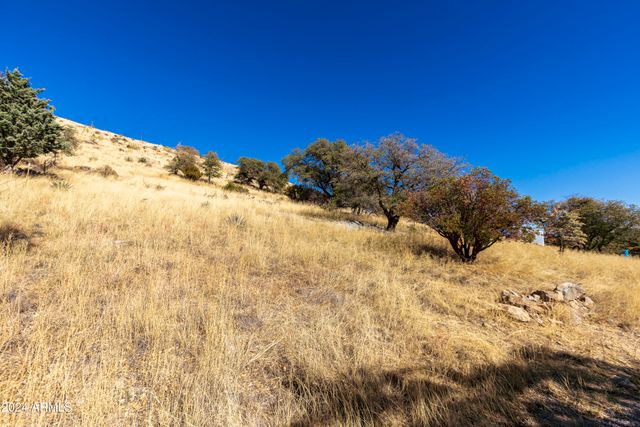 4709 E Dead Bear Draw -- 0, Hereford, AZ 85615