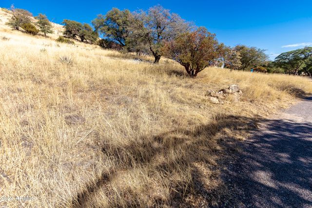 4709 E Dead Bear Draw -- 0, Hereford, AZ 85615