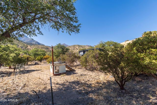 4709 E Dead Bear Draw -- 0, Hereford, AZ 85615