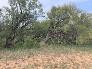 817 County Road 126, Trent, TX 79561