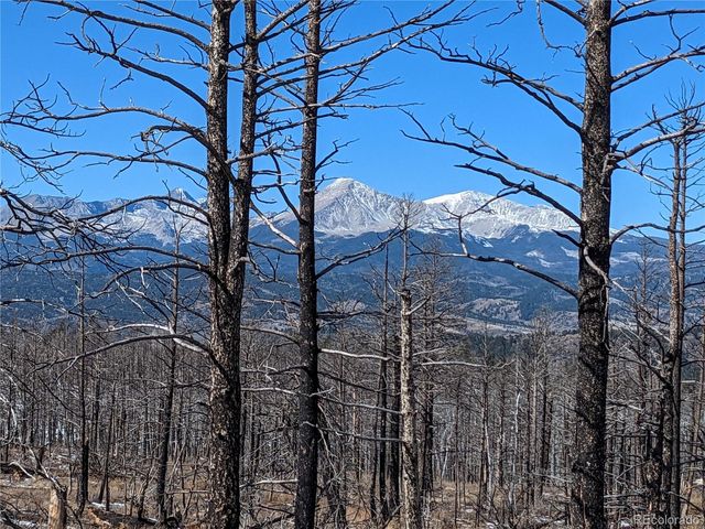 338 Hagin Lane, Fort Garland, CO 81133