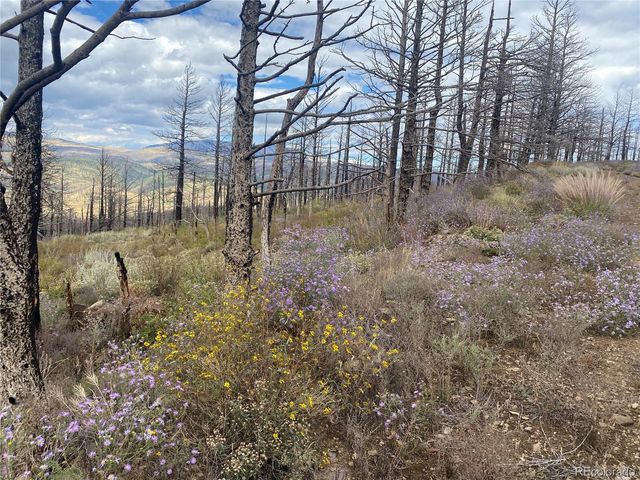 338 Hagin Lane, Fort Garland, CO 81133