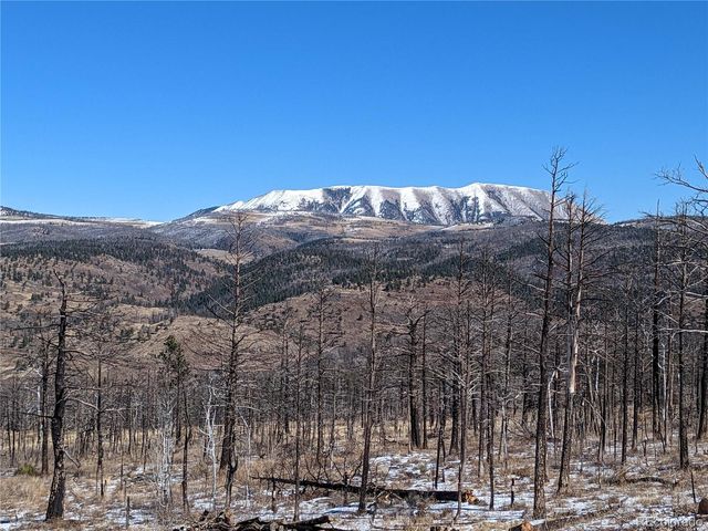 338 Hagin Lane, Fort Garland, CO 81133