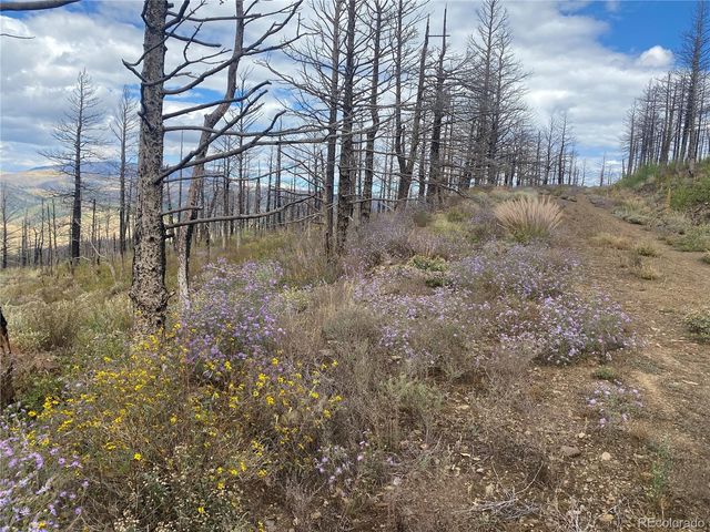 338 Hagin Lane, Fort Garland, CO 81133