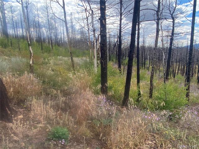 338 Hagin Lane, Fort Garland, CO 81133