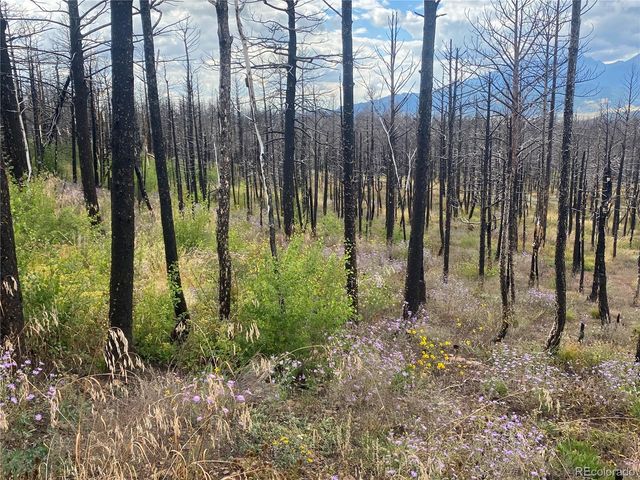 338 Hagin Lane, Fort Garland, CO 81133