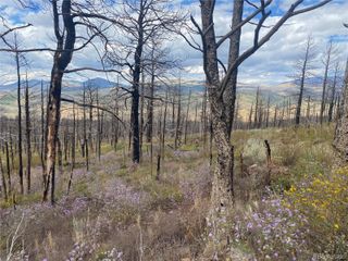 338 Hagin Lane, Fort Garland, CO 81133