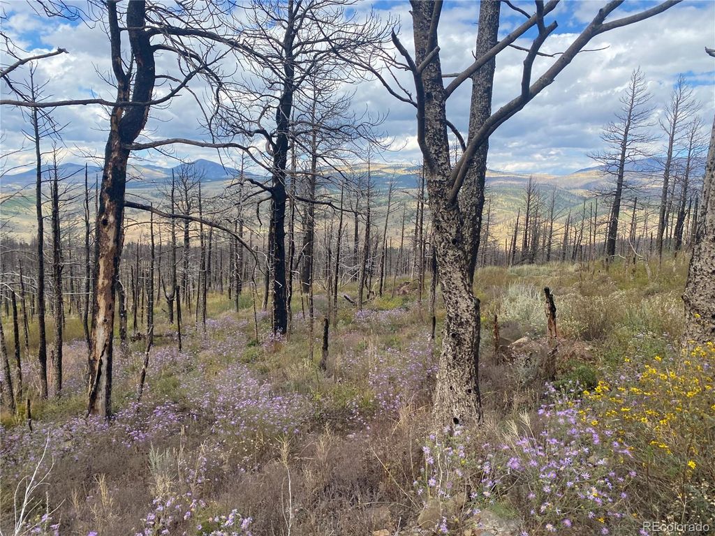 338 Hagin Lane, Fort Garland, CO 81133