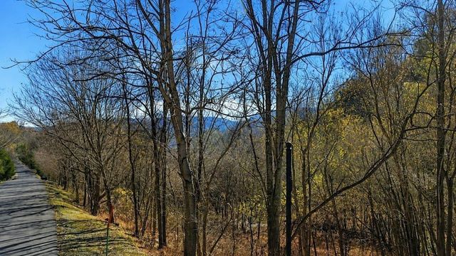 0 Blackberry Ridge Way, Smithville, TN 37166
