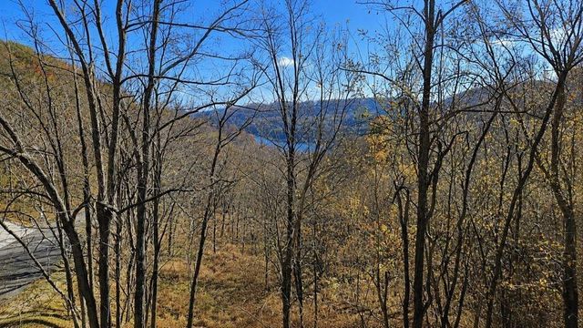 0 Blackberry Ridge Way, Smithville, TN 37166