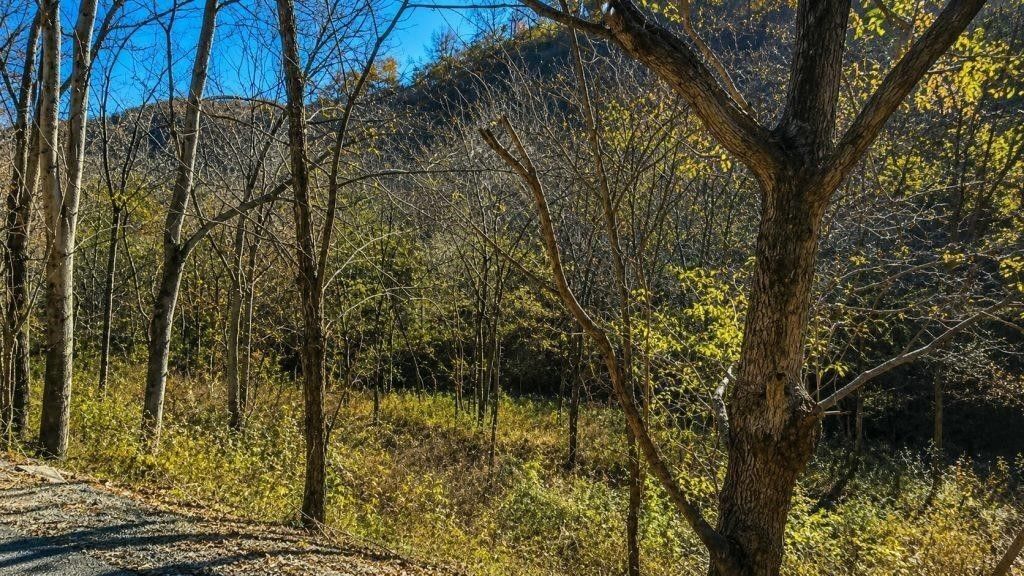 0 Blackberry Ridge Way, Smithville, TN 37166