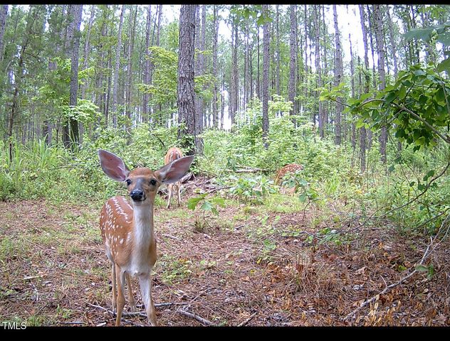 0 Richardson Road, Warrenton, NC 27589