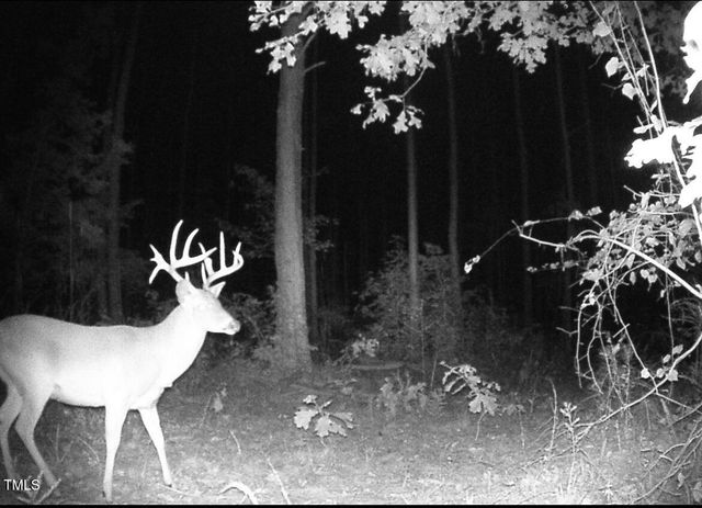 0 Richardson Road, Warrenton, NC 27589