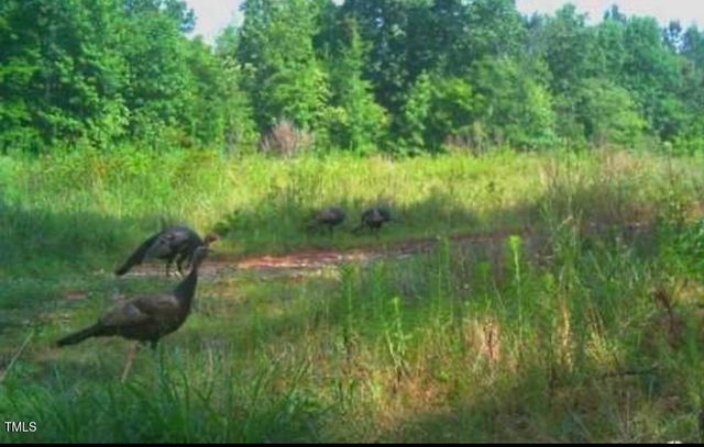 0 Richardson Road, Warrenton, NC 27589