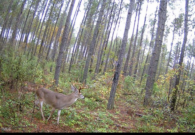 0 Richardson Road, Warrenton, NC 27589