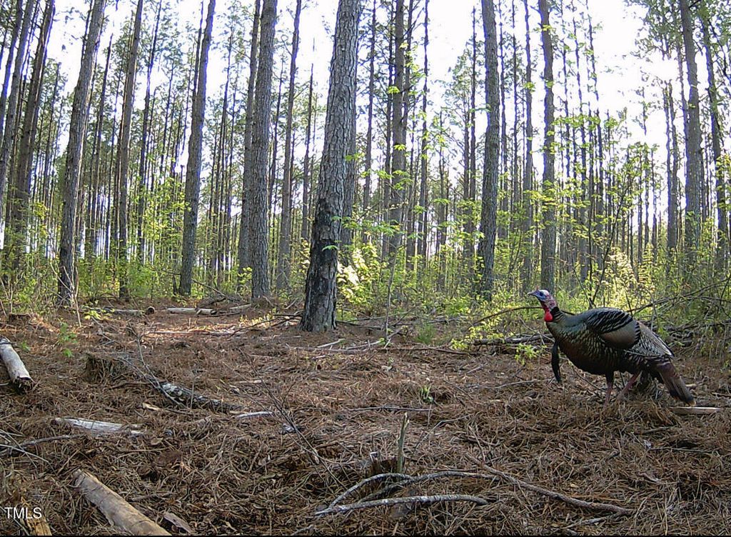 0 Richardson Road, Warrenton, NC 27589