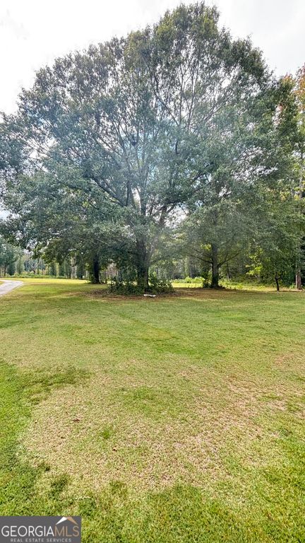 0 Old Conyers Road, Stockbridge, GA 30281 — photo 4