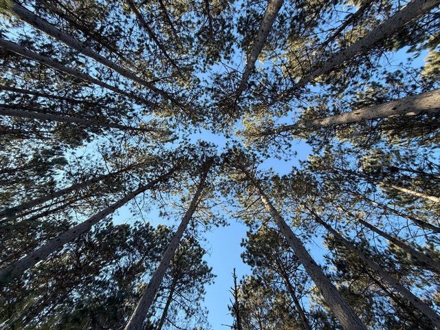 353 TWIN LAKES TRAIL, Nekoosa, WI 54457