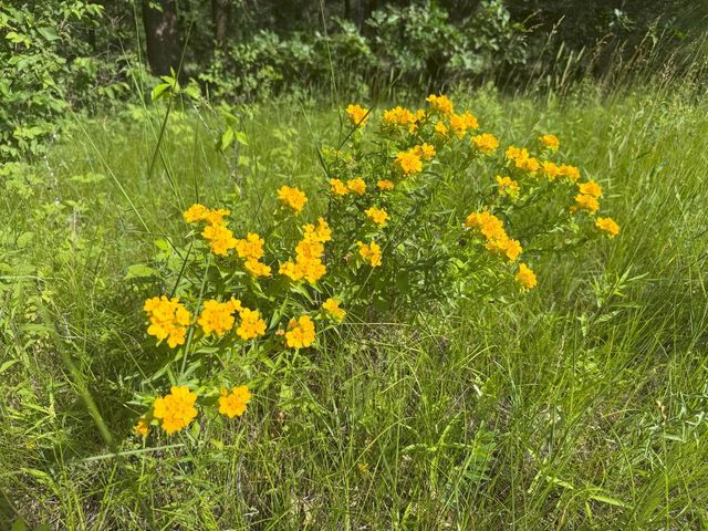 353 TWIN LAKES TRAIL, Nekoosa, WI 54457