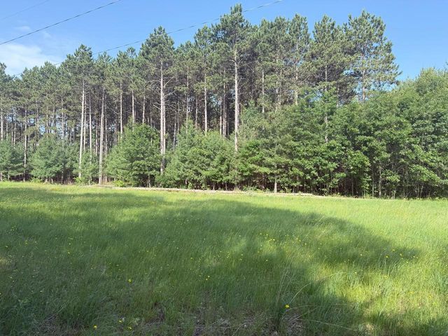 353 TWIN LAKES TRAIL, Nekoosa, WI 54457