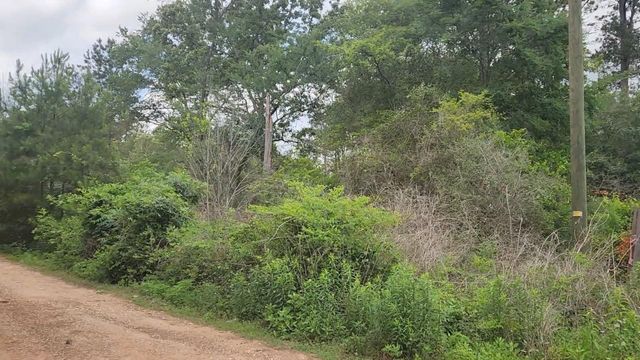 Lot 10 B53 Sweetleaf Lane, Plantersville, TX 77363