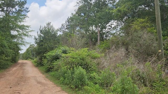 Lot 10 B53 Sweetleaf Lane, Plantersville, TX 77363