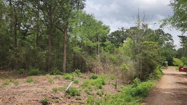 Lot 10 B53 Sweetleaf Lane, Plantersville, TX 77363