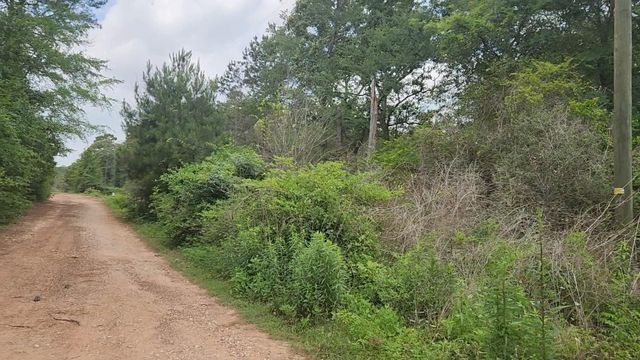 Lot 10 B53 Sweetleaf Lane, Plantersville, TX 77363