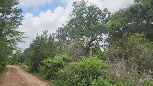 Lot 10 B53 Sweetleaf Lane, Plantersville, TX 77363