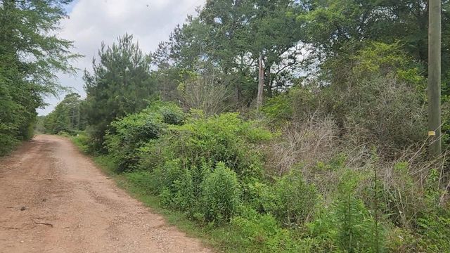 Lot 10 B53 Sweetleaf Lane, Plantersville, TX 77363