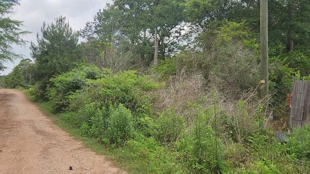 Lot 10 B53 Sweetleaf Lane, Plantersville, TX 77363