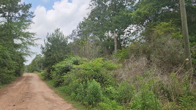 Lot 10 B53 Sweetleaf Lane, Plantersville, TX 77363