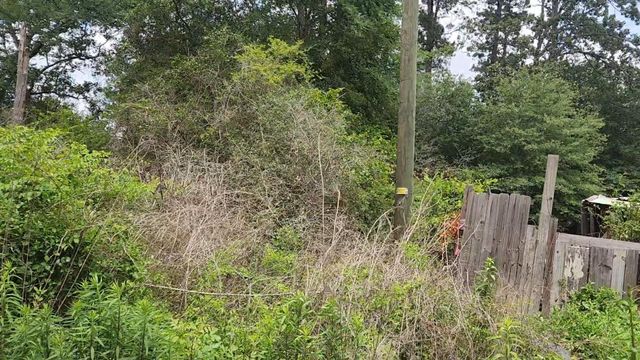 Lot 10 B53 Sweetleaf Lane, Plantersville, TX 77363