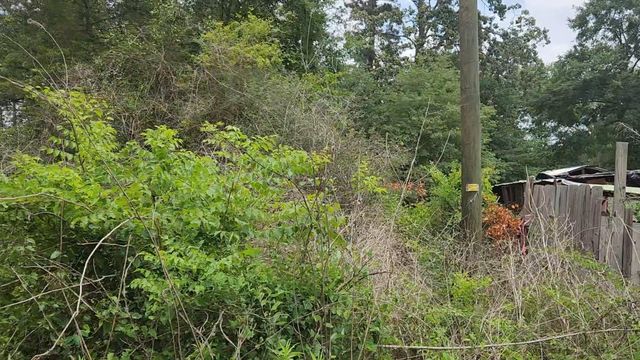 Lot 10 B53 Sweetleaf Lane, Plantersville, TX 77363