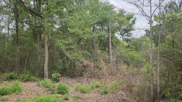 Lot 10 B53 Sweetleaf Lane, Plantersville, TX 77363