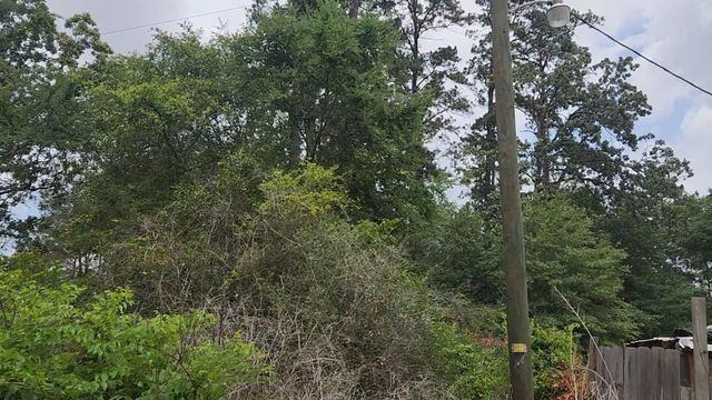 Lot 10 B53 Sweetleaf Lane, Plantersville, TX 77363